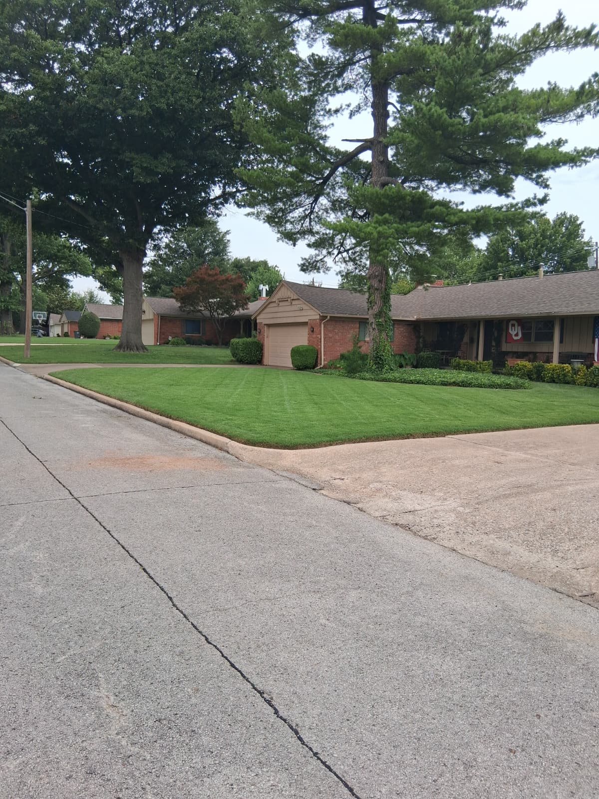 Lawn Maintenance